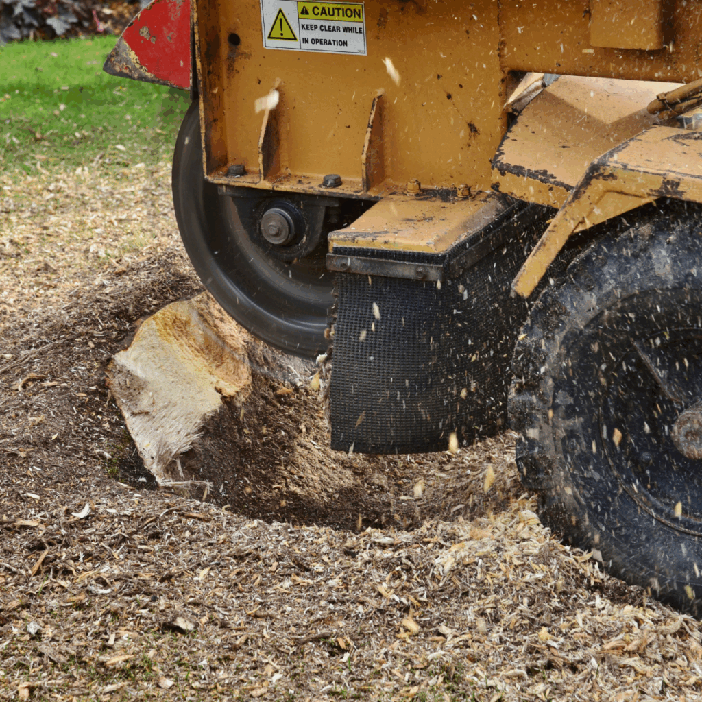 stump-grinding-rapid-city stump-grinding-rapid-city