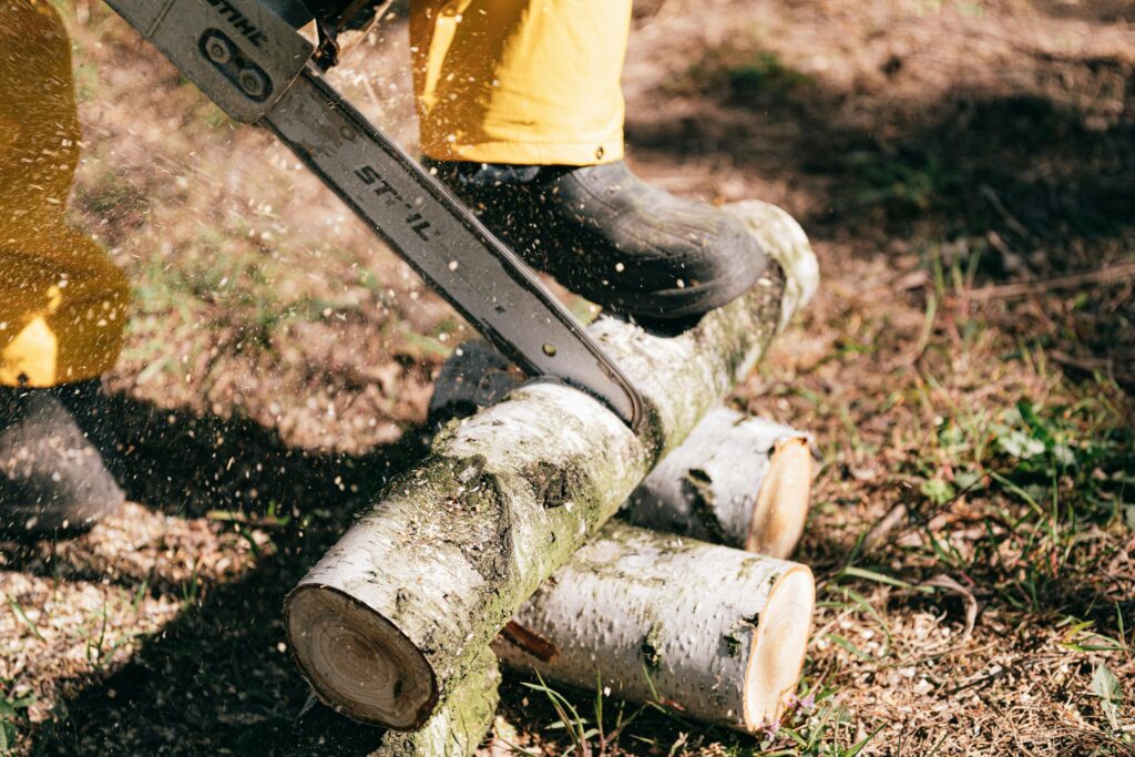 local-stump-removal-expert-rapid-city